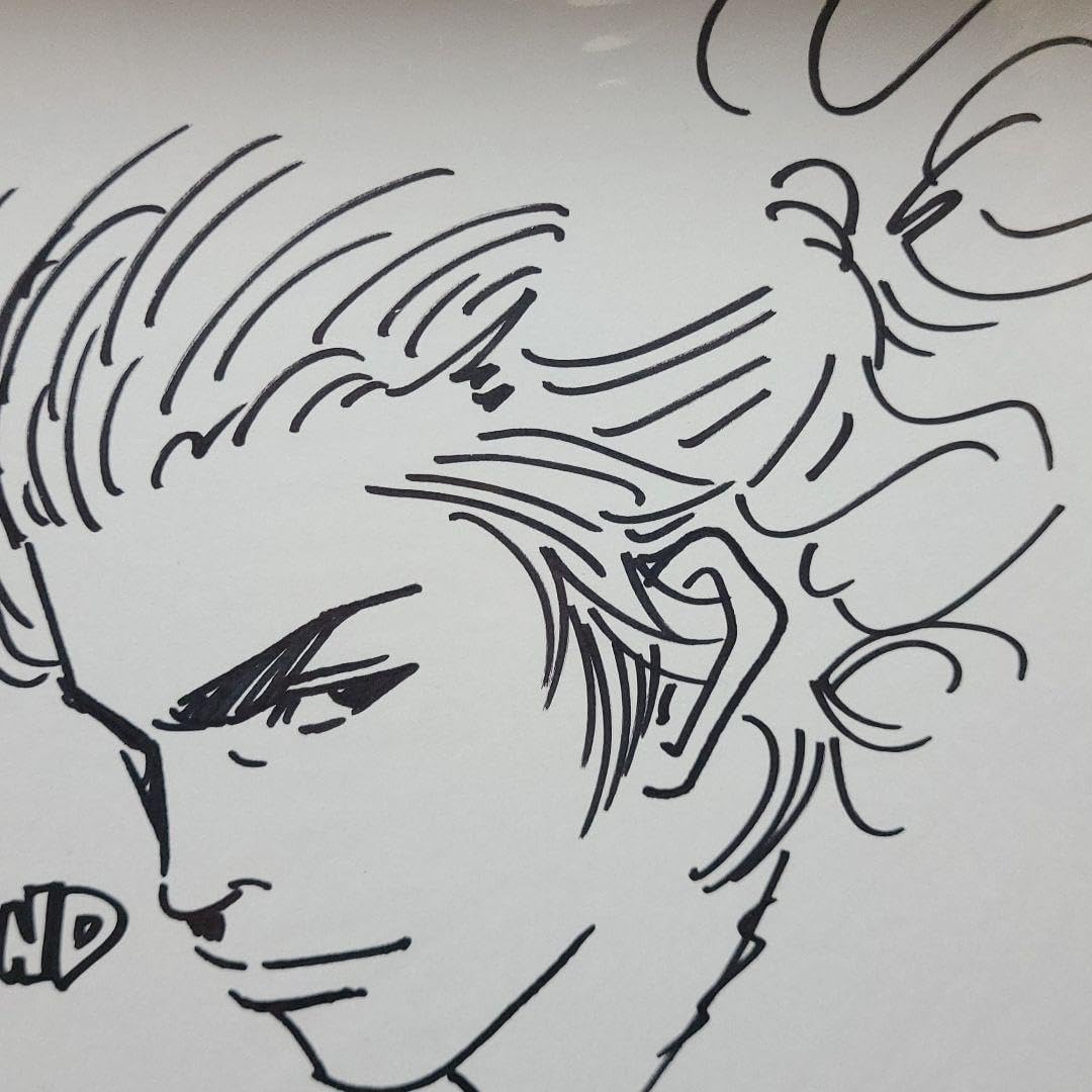 バガボンド 宮本武蔵イラスト 直筆サイン色紙 吉川英治 作品